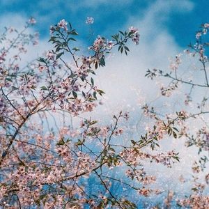 Meet your Posher, Adrienne